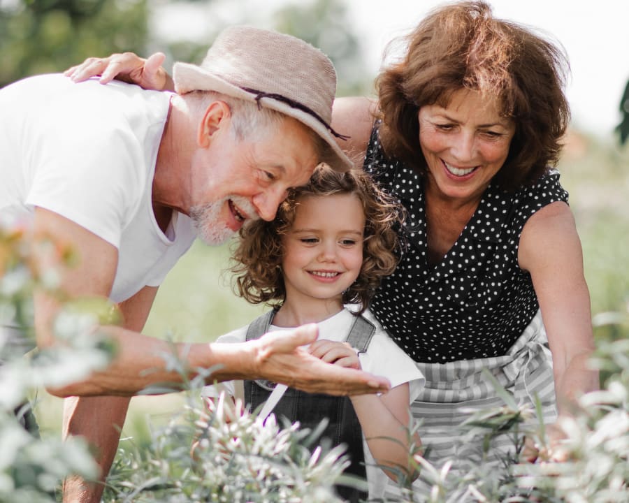 About Barrhaven South Dentistry, Nepean Dentist